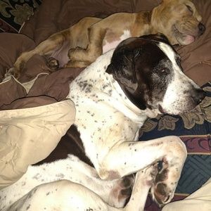 Meet your Posher, William